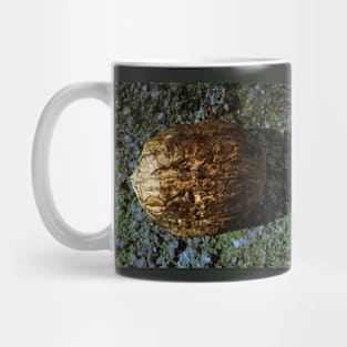 Golden Nut Shell Mug